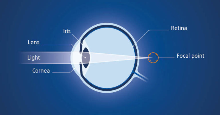 diagnosis-of-long-sightedness-cabinet-de-chirurgie